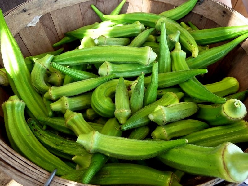 Gombo frais